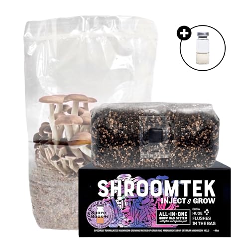 mushroom　準備中 514+ll3upiL.jpg